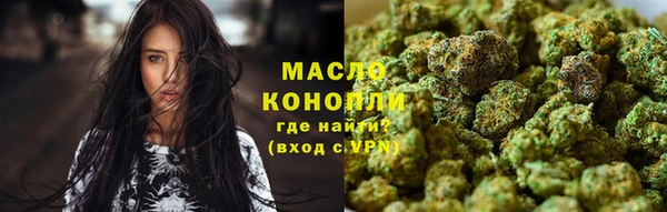 гашик Богородицк