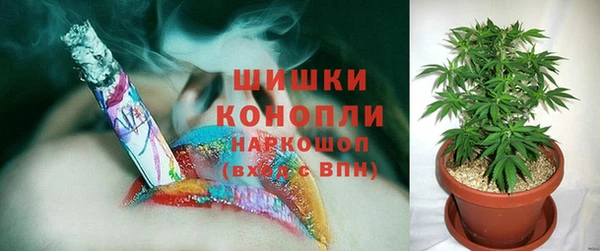 соль курить ск Бородино